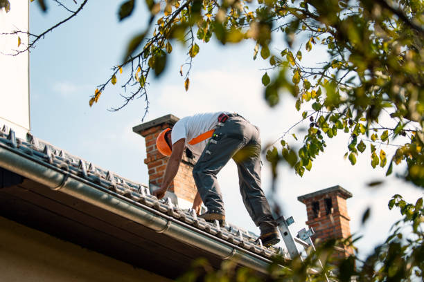 Best Roof Repair Services  in Rogers City, MI