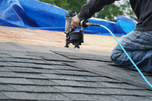 Best Roof Repair Services  in Rogers City, MI
