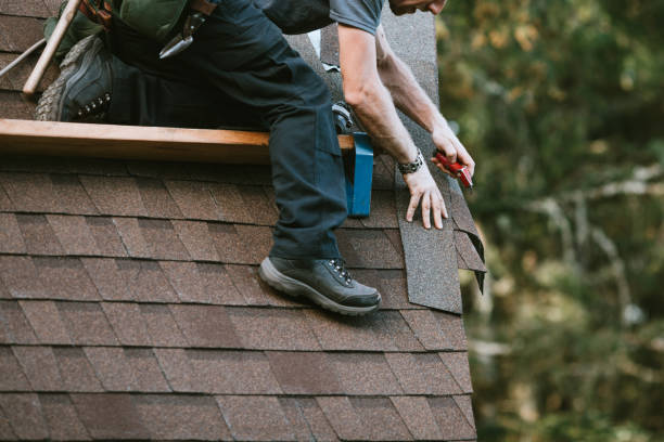 Best Metal Roofing Contractor  in Rogers City, MI